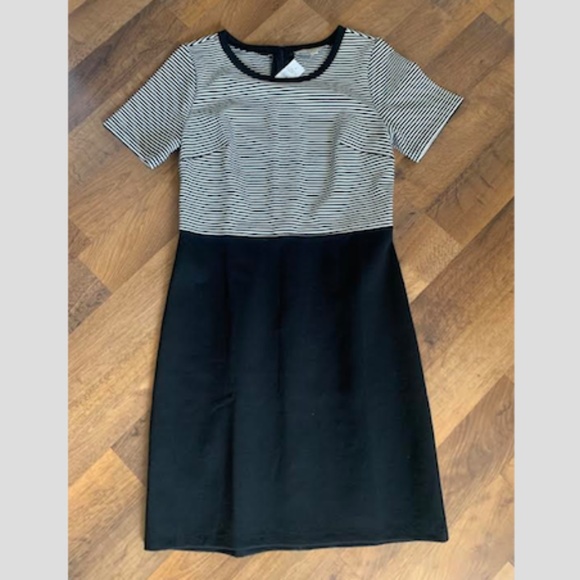 🆕 LOFT Coloblock Dress - Picture 1 of 14